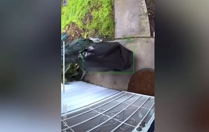 Il se déguise en sac poubelle pour voler un colis d’une valeur de... 10 euros: “Les gens ont beaucoup de créativité”